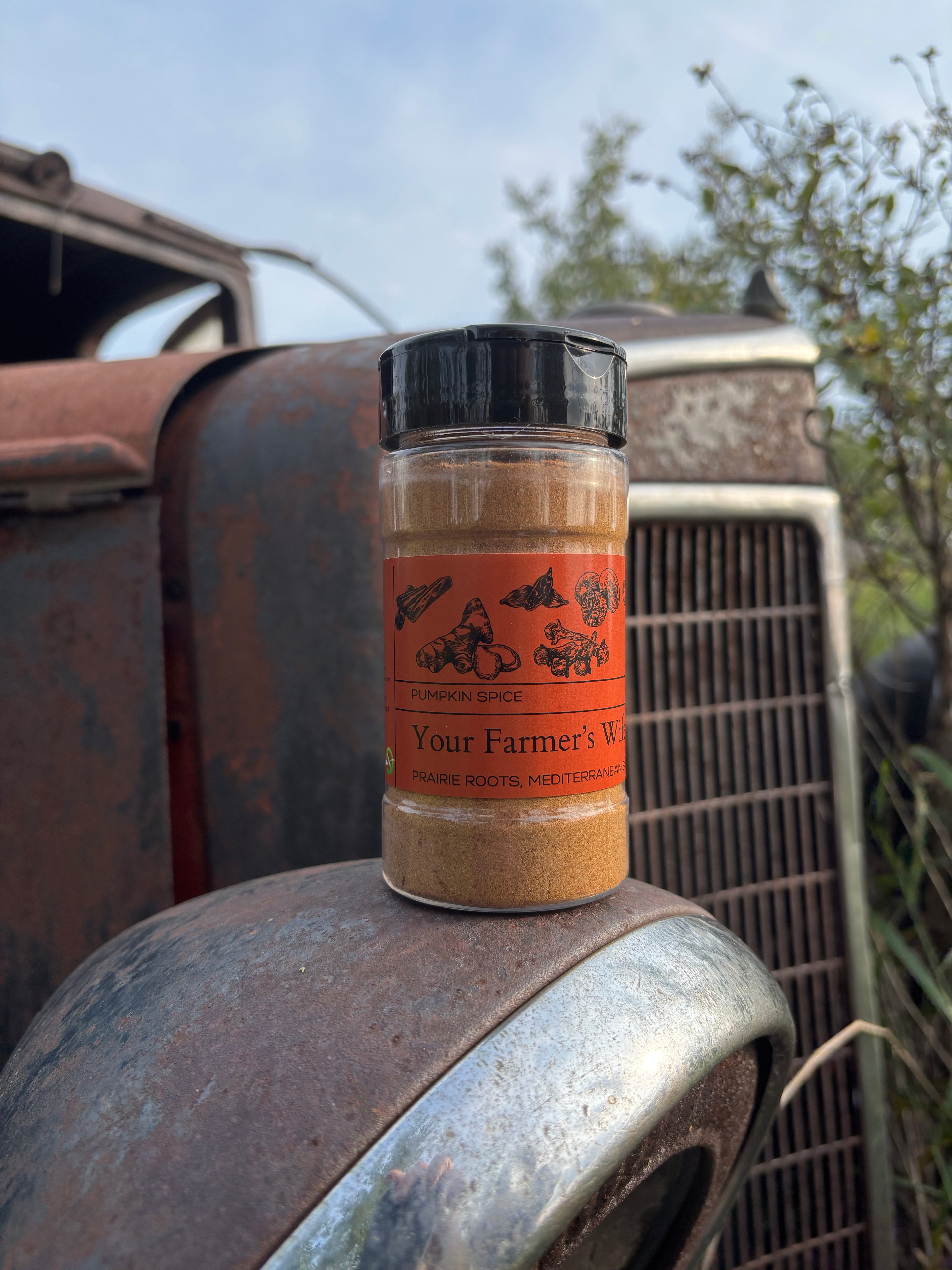 Pumpkin Spice Topping